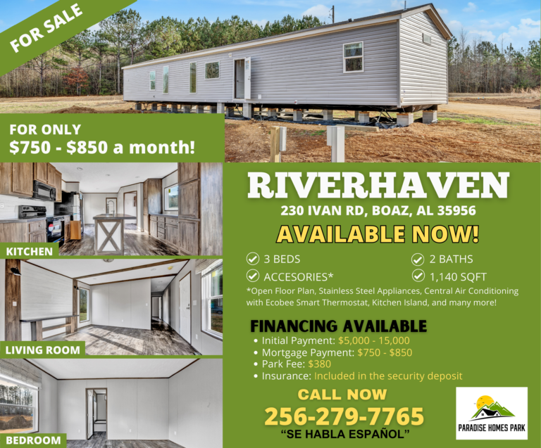 Riverview Flyer (2)