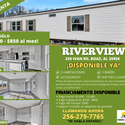 Riverview Flyer